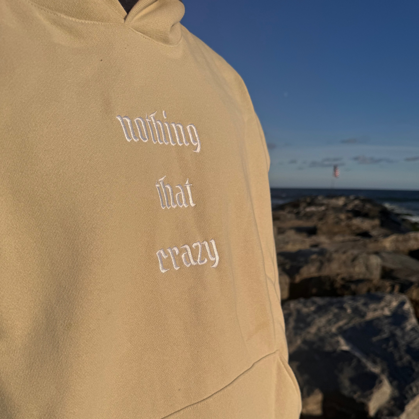 life worth living hoodie - cream